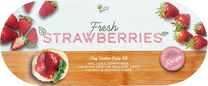 BUZZY Seeds Strawberry Grow Kit Easy Indoor Windowsill Garden with Decorative Metal Planter, Non-GMO Seeds, Growing Medium, A Fun Gift for Beginning Gardeners