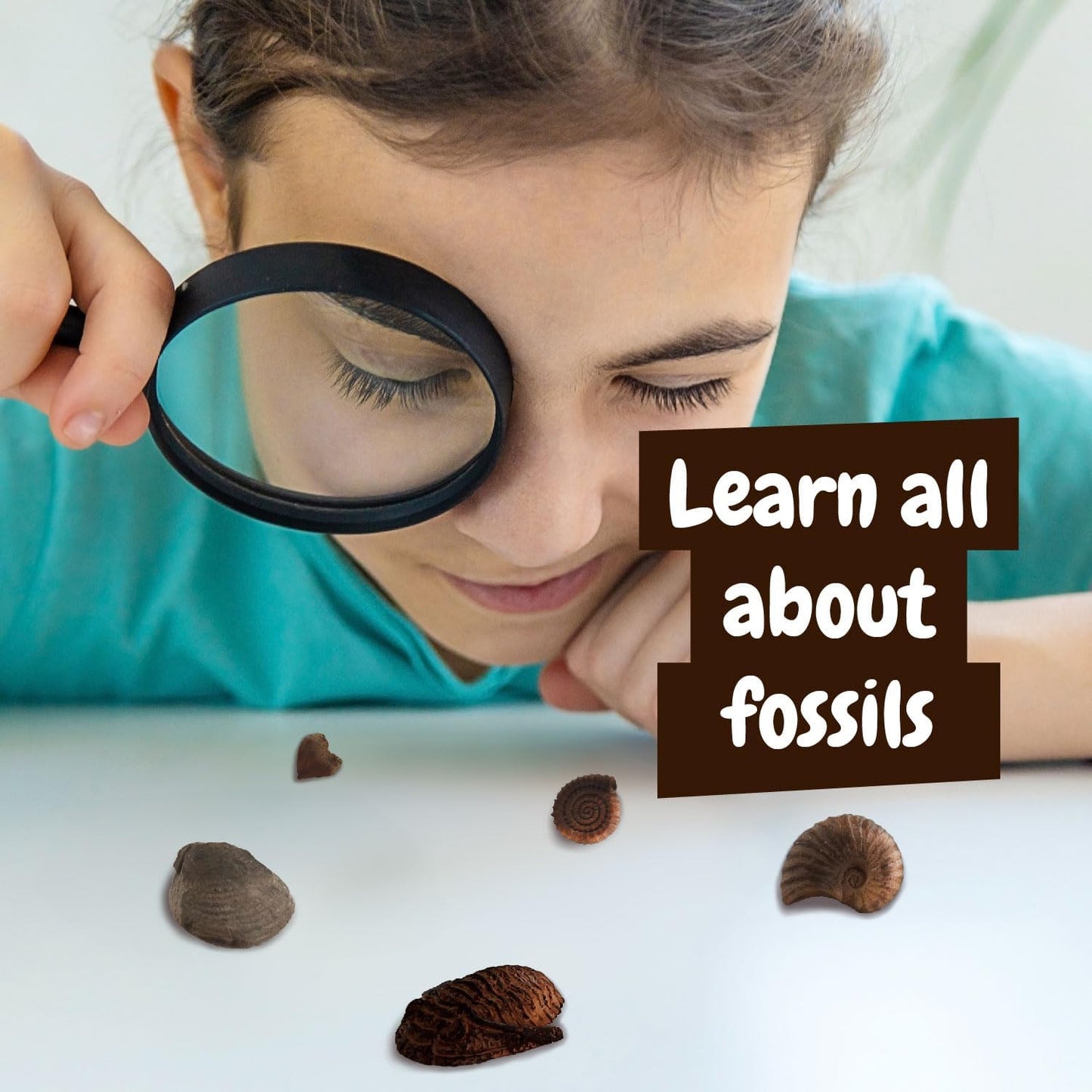 Science4you Fossil Digging Kit for Kids – Archeology, Excavation and Paleotology Kits for Kids, Fossil Dig, Stem Toy and Gift for Boys and Girls Age 6 7 8-12+