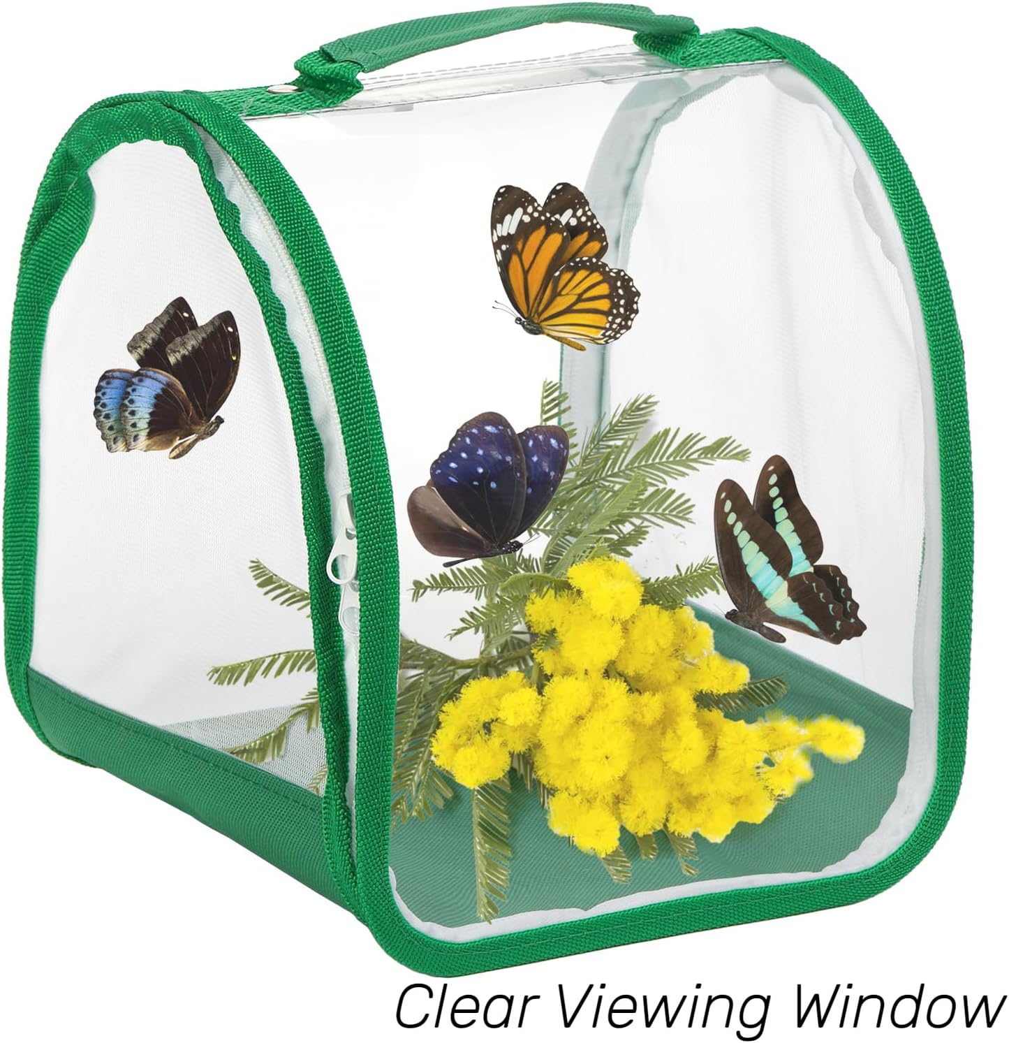 ZOOFOX 2 Pack Monarch Butterfly Habitat, 8" Small Collapsible Insect Mesh Cage Terrarium Pop-up