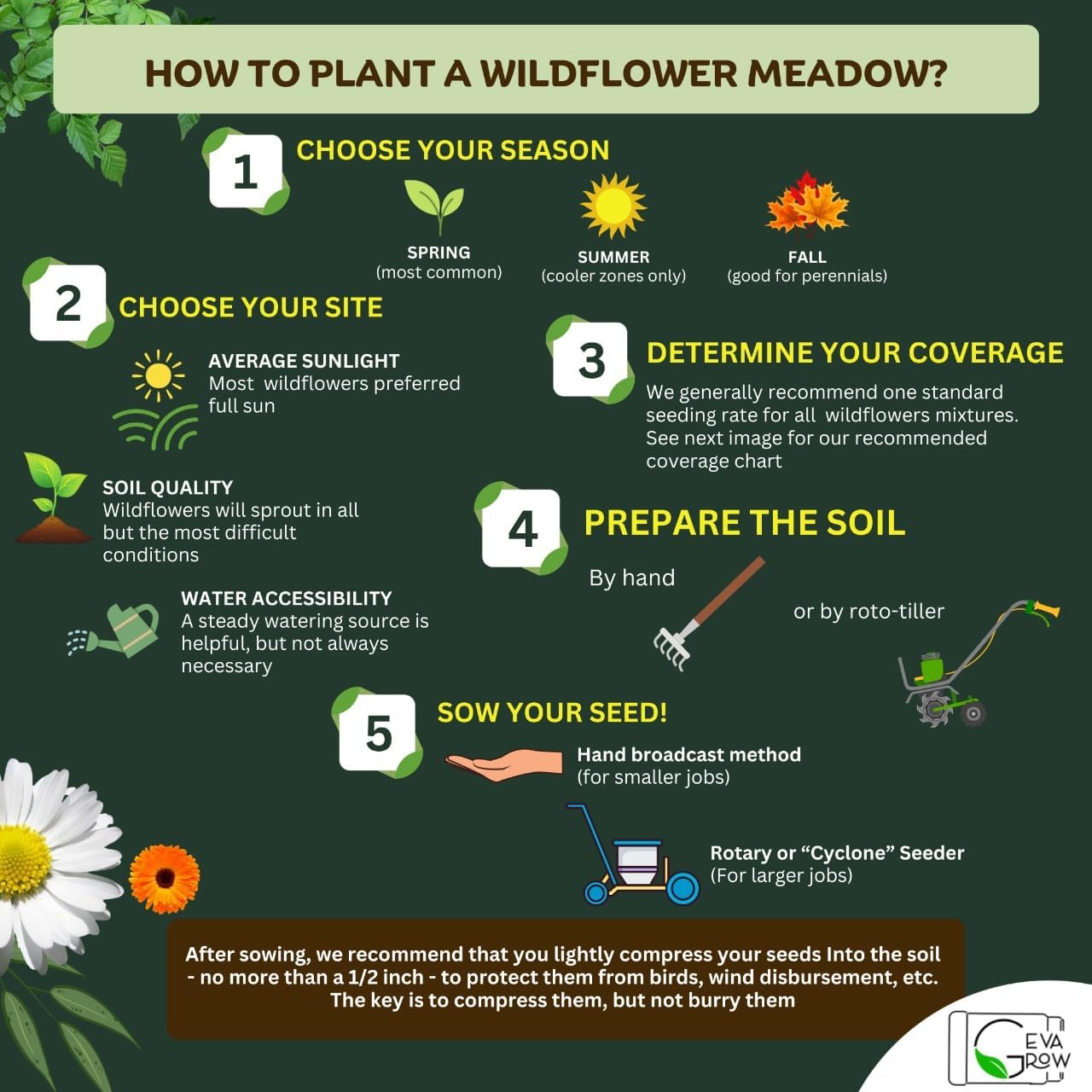 Mini Wildflower Seed Shaker - Save The Bees Seed Mix, by GevaGrow | 80,000+ Seeds | Pollinator & Bee Attracting Flower Seeds Bulk for Planting in Pots & Outdoor Gardens | 2 Ounce