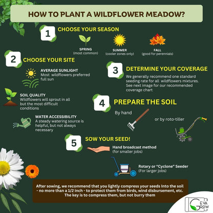 Mini Wildflower Seed Shaker - Save The Bees Seed Mix, by GevaGrow | 80,000+ Seeds | Pollinator & Bee Attracting Flower Seeds Bulk for Planting in Pots & Outdoor Gardens | 2 Ounce