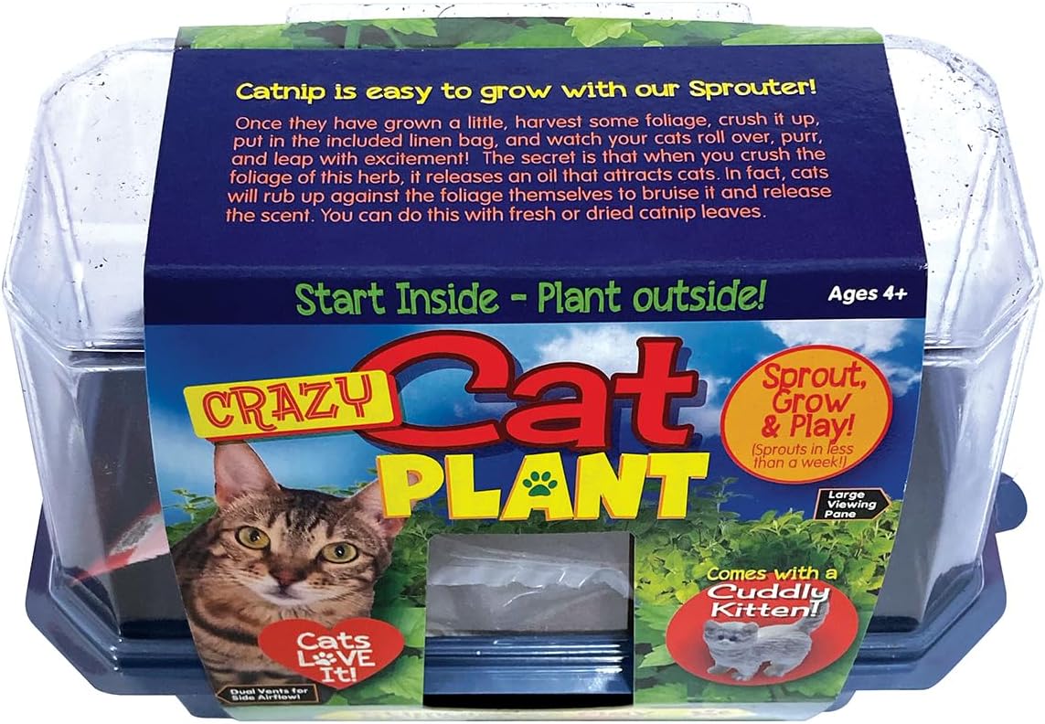 Toys By Nature Miniature Worlds Terrifying Venus Flytrap Terrarium Starter Kit for Kids and Adults, Watch Indoor Carnivorous Fly Traps Grow! Just Add Water! (Frightening Flytraps)