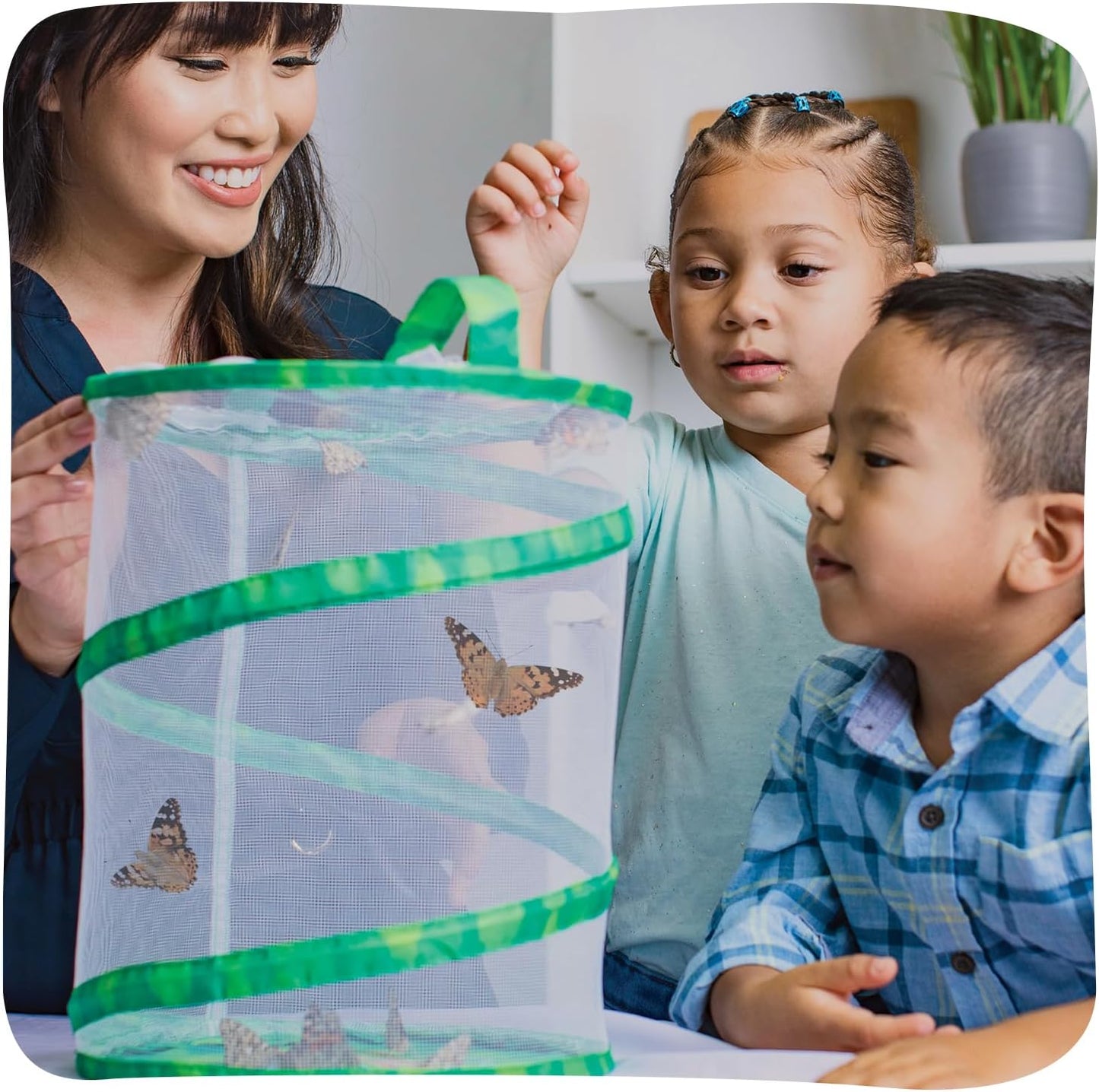 Insect Lore Butterfly Garden Kit with Live Caterpillars – Grow 10 Painted Lady Butterflies - STEM Learning Activity, Habitat with Journal, Stickers, Seeds & Figurines - As Seen on TV