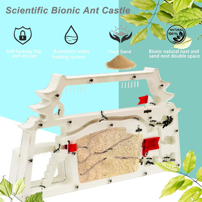 EXBEPE Ant Farm Castle,Ant Colony Habitat Observation Tool Kits,Bug Terrarium House,Nature Learning Toys, Education Science Kit