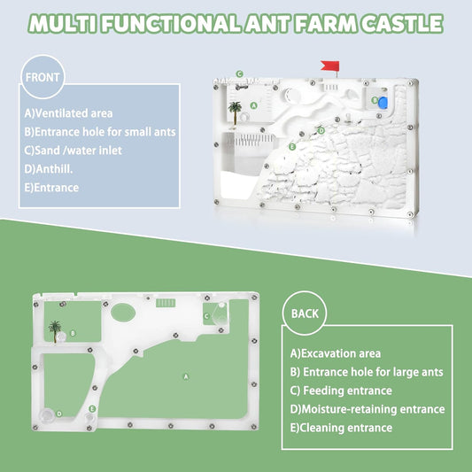 Ant Farms with Connections, Ant Farms, Live Ants for Ant Farm Educational Science DIY Toy Kit - STEM Learning Toy - Great Gifts [Ants not Included] (House)