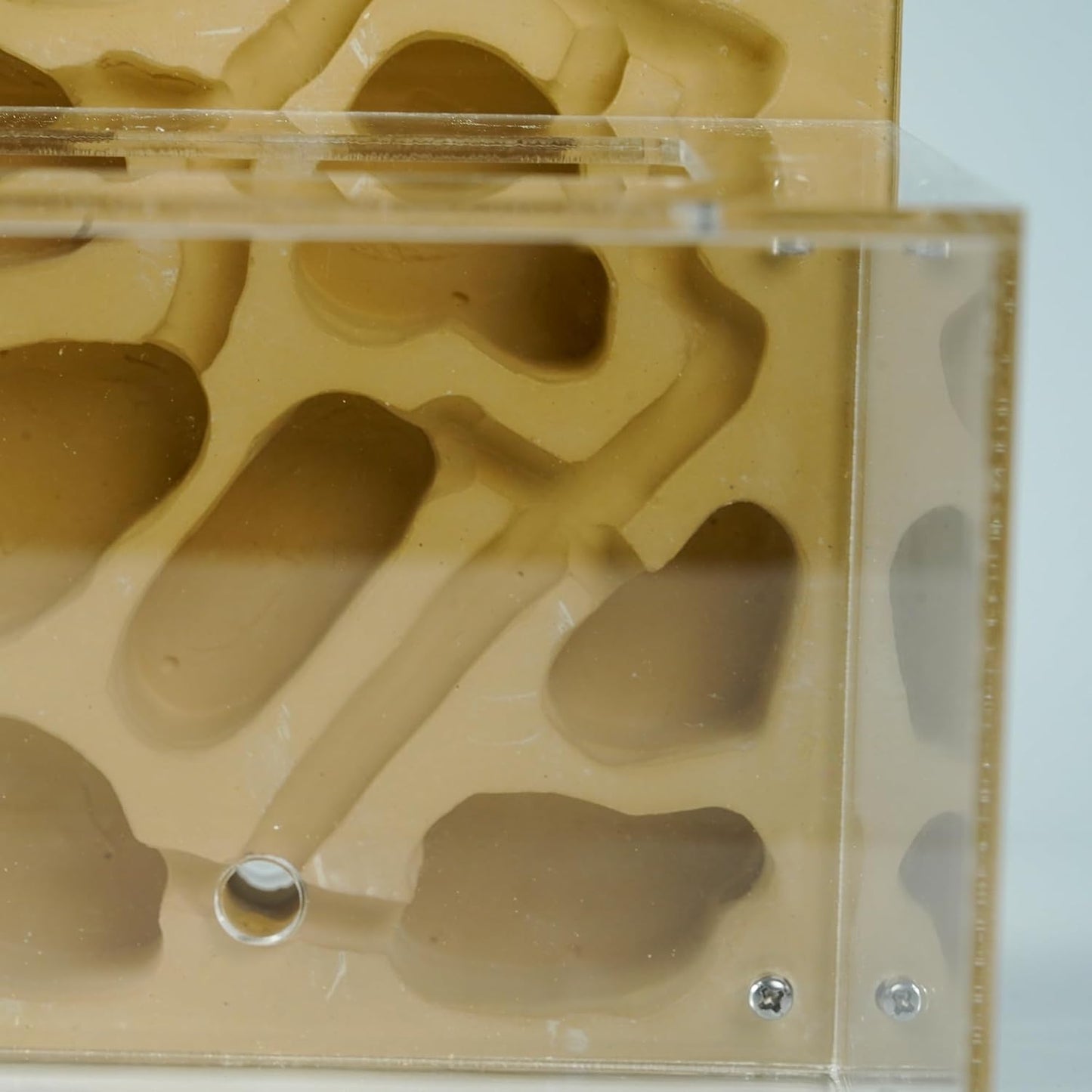 Ant Farm for Live Ants - Large Viewing Area - Natural Learning
