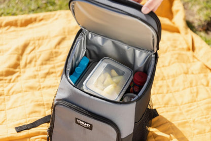 Igloo Maxcold Ice Block