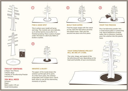Crystal Growing Aspen Tree | Copernicus Toys Official Terraformer kit | Grows in Hours | Facts and Instructions Included