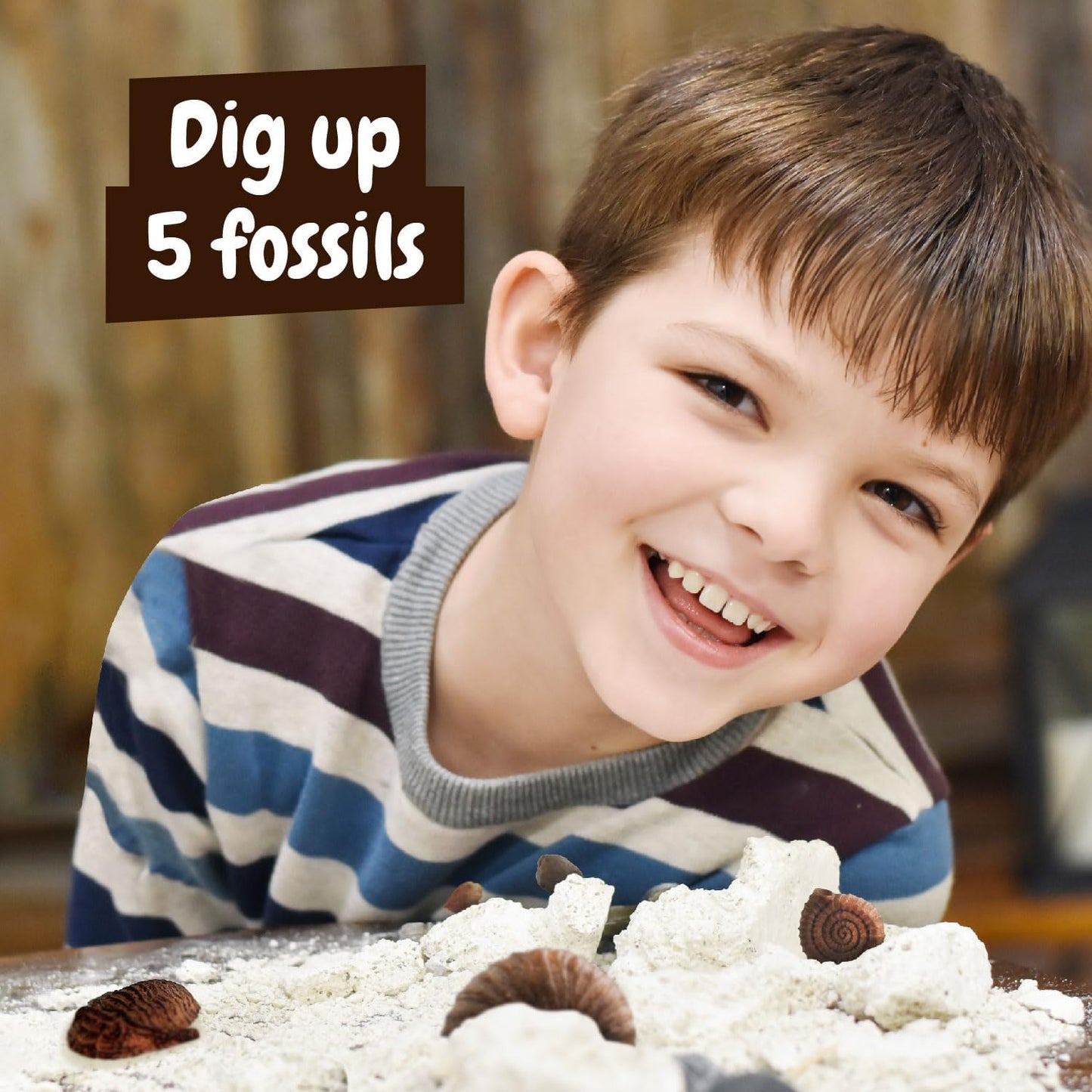 Science4you Fossil Digging Kit for Kids – Archeology, Excavation and Paleotology Kits for Kids, Fossil Dig, Stem Toy and Gift for Boys and Girls Age 6 7 8-12+