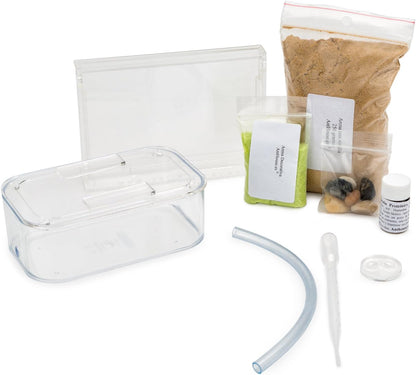 AntHouse Sand Ant Farm Basic - Educational formicarium for Live Ants