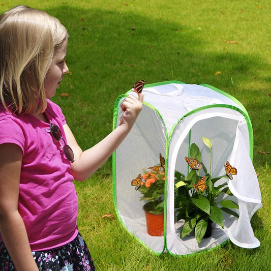 24" Insect and Butterfly Habitat Monarch Butterfly Enclosure for Caterpillars Pop Up 24 Inches Tall Pack of 2