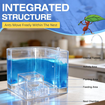 Ant Farm, Ant Habitat Kit with Built-in Lights for Observation and Learning, Fostering Exploration, Growth, and Discovery at Home
