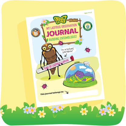 Insect Lore Live Ladybug Growing Kit - Land Habitat with 10-15 Live Pink Spotted Larvae for Kids - Raise, Observe and Release