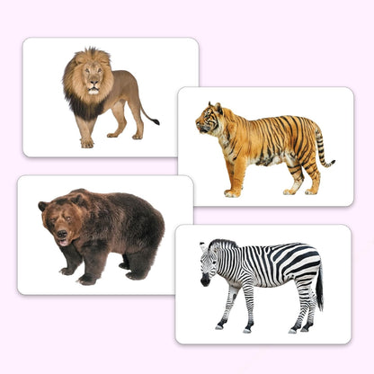 Hungry Brain Number Flash Cards for Kids Ages 36 Years Months to | Learn Numbers, Counting & Early Math Skills | Preschool Educational Toy for Toddlers | Montessori Learning | Set of 24 Cards