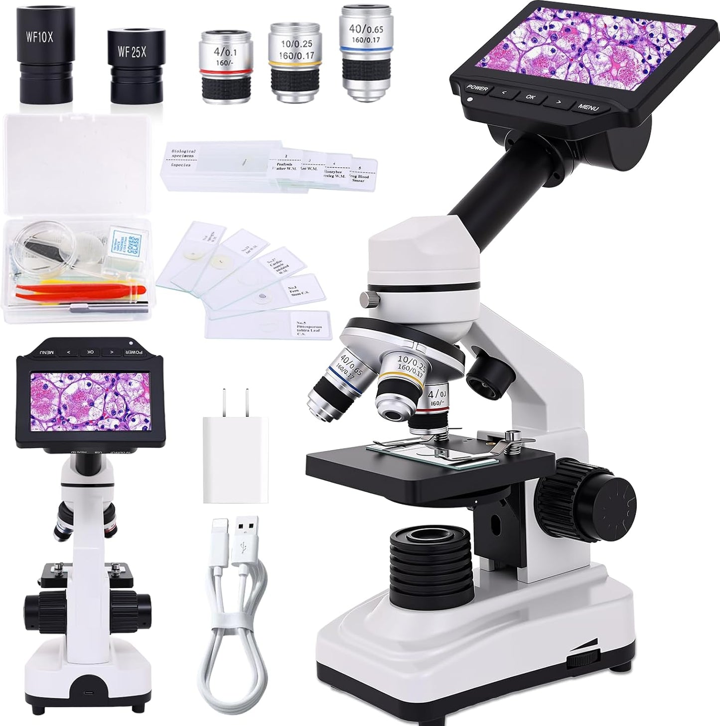Microscope for Adults & Kids, 40X-2500X High-Power Compound Microscope for Students, School Lab & Home Schooling,Equiped with Slides Set & Phone Holder (Light White)