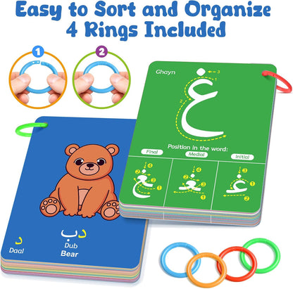 Quilinz Arabic Alphabet Flash Cards, Learn Arabic Letters for Beginners Adult, Kids, Toddlers, Set of Letter, Sight Word, Color, Shape and Number Flashcard, Preschool Educational Learning Activities