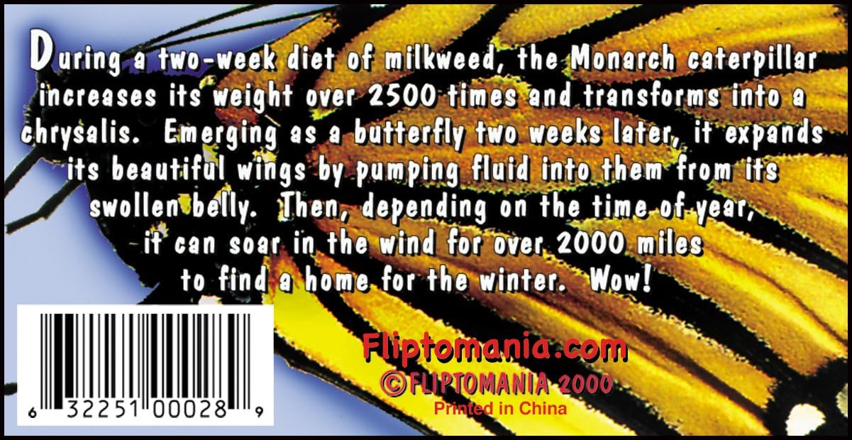 Fliptomania Caterpillar to Monarch Butterfly Metamorphosis Flipbook