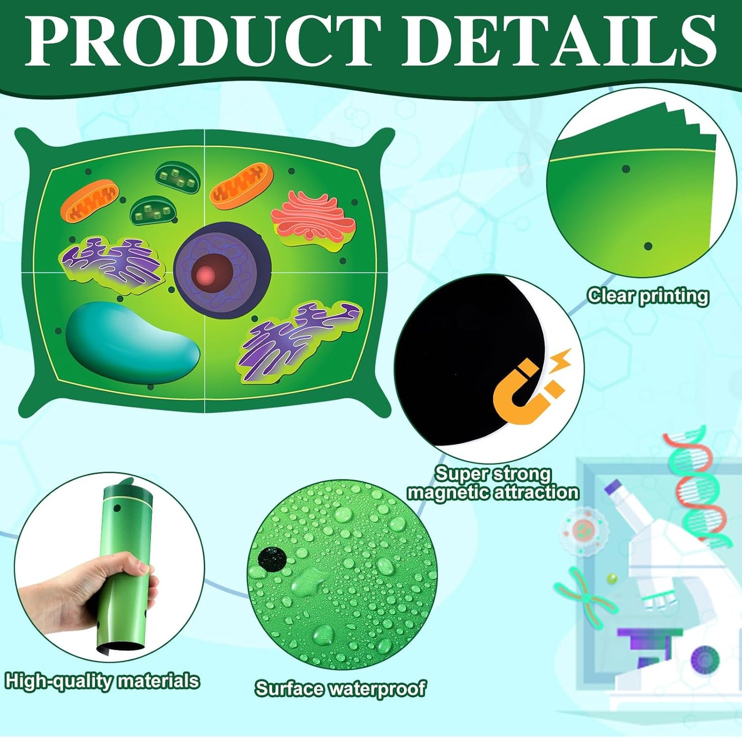 Leitee 18 Pcs Magnetic Plant Cell Model Kits Giant Teaching Resources Early Biology Cell Anatomy Model Life Science Teaching Aid for Whiteboard Learning Tools Educational Classroom Activities