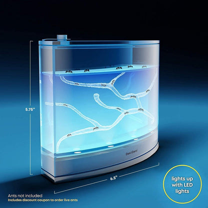 Dan&Darci Light-up Ant Farm Terrarium Kit for Kids – LED Habitat for Live Ants with Nutrient Rich Gel - Watch Them Dig Their Own Tunnels - Learning Science Toys, Experiment Gift for Boys & Girls