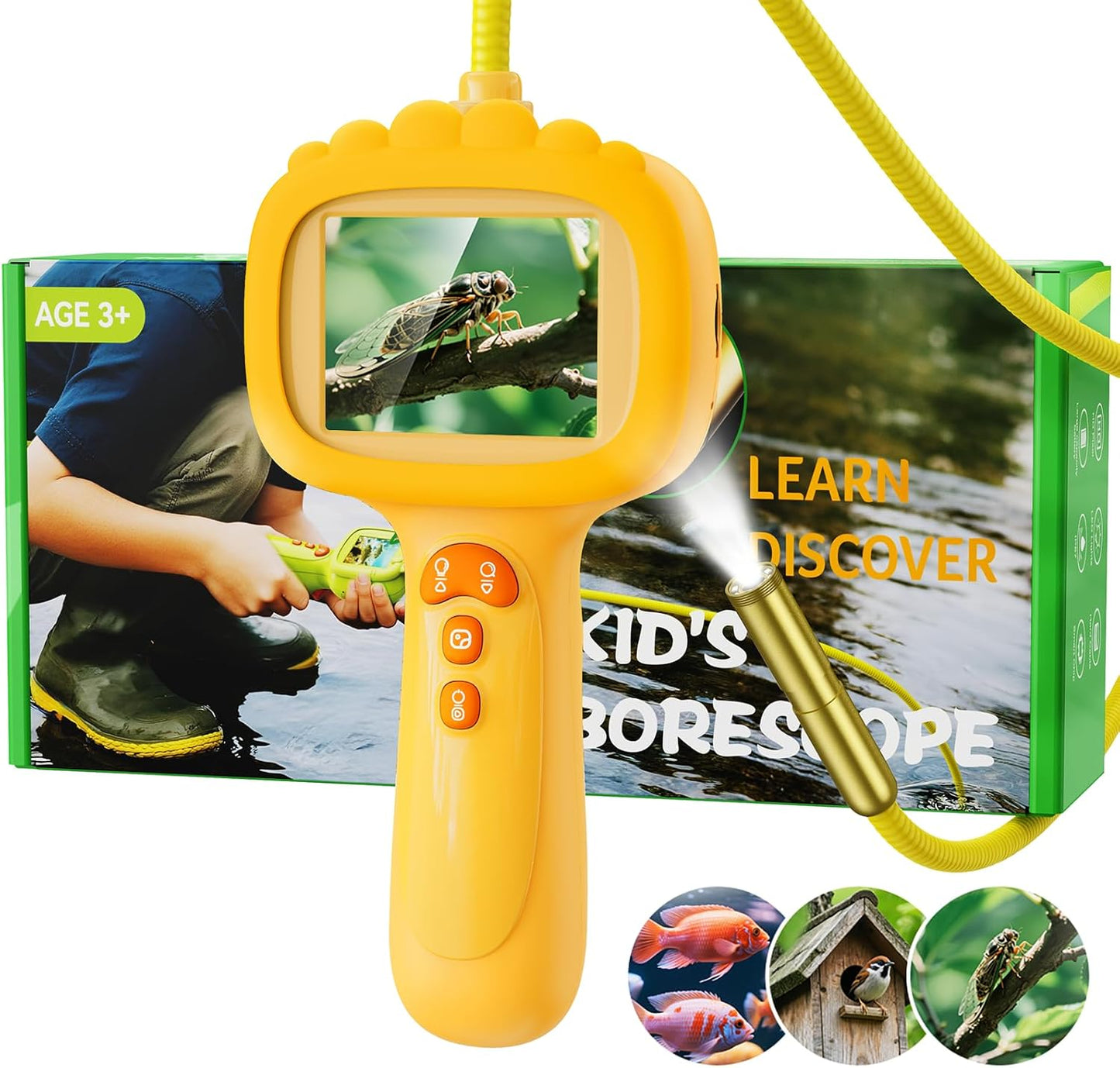 Borescope Camera with Light for Kids, Ashfly STEM Science Educational Toy for 3 4 5 6 7 8 Years Old Boys & Girls, 2.4" Screen Snake Scope Camera for Birthday Outdoor Camping Nature Exploration-Green