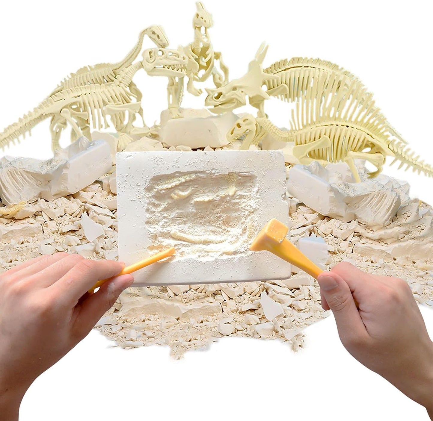 HamiltonBuhl STEAM Education Paleo Hunter Dig Kit - Velociraptor Rex