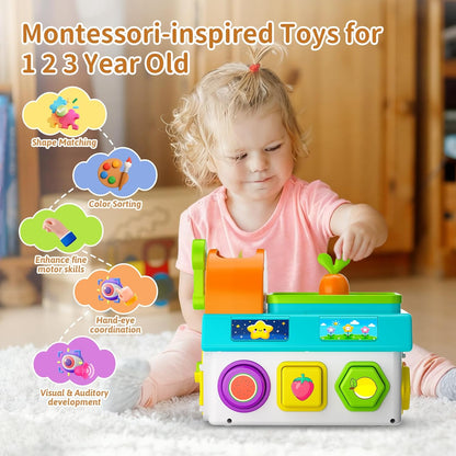 Montessori Toys for 1-2 Year Old Boys Girls, 1st First Birthday Gift for One Year Old, Baby 12-18 Month Educational Shape Matching Game w/ Lights & Sound, Fine Motor Learning Toys for Toddlers 1-3