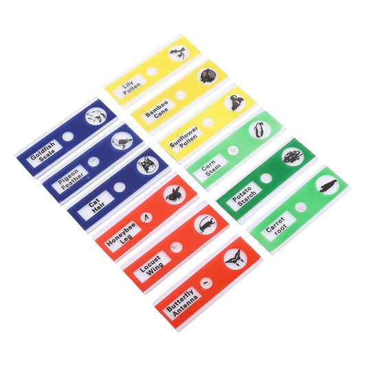 12PCS Prepared Microscope Slides, Plastic Colored Biological Sample Biology Slides Root Viewer Kit Microscope Accessories for Students Education (Mix Color)