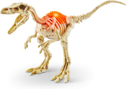 Robo Alive Mini Dino Fossil Find (2 Pack, T-Rex & Brontosaurus) by ZURU Boys 5+ Dig and Discover, STEM, Excavate Prehistoric Fossils, Educational Toys, Great Science Kit Gift for Girls and Boy