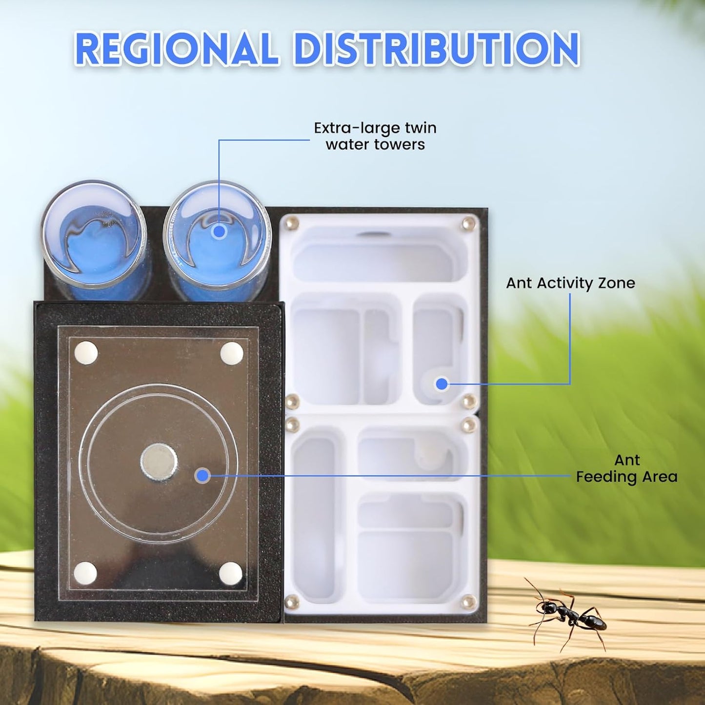 Ant Farm Nest - Educational Habitat - Black and White Acrylic Design with Built-in Water Tower and Clear Observation Area (S)
