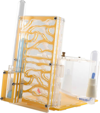 ANT Housing Nest Habitat Transparent Acrylic with Feeder ANT Farm Display Box for Gift Lovers Birthday Decor Children's Day- Yellow