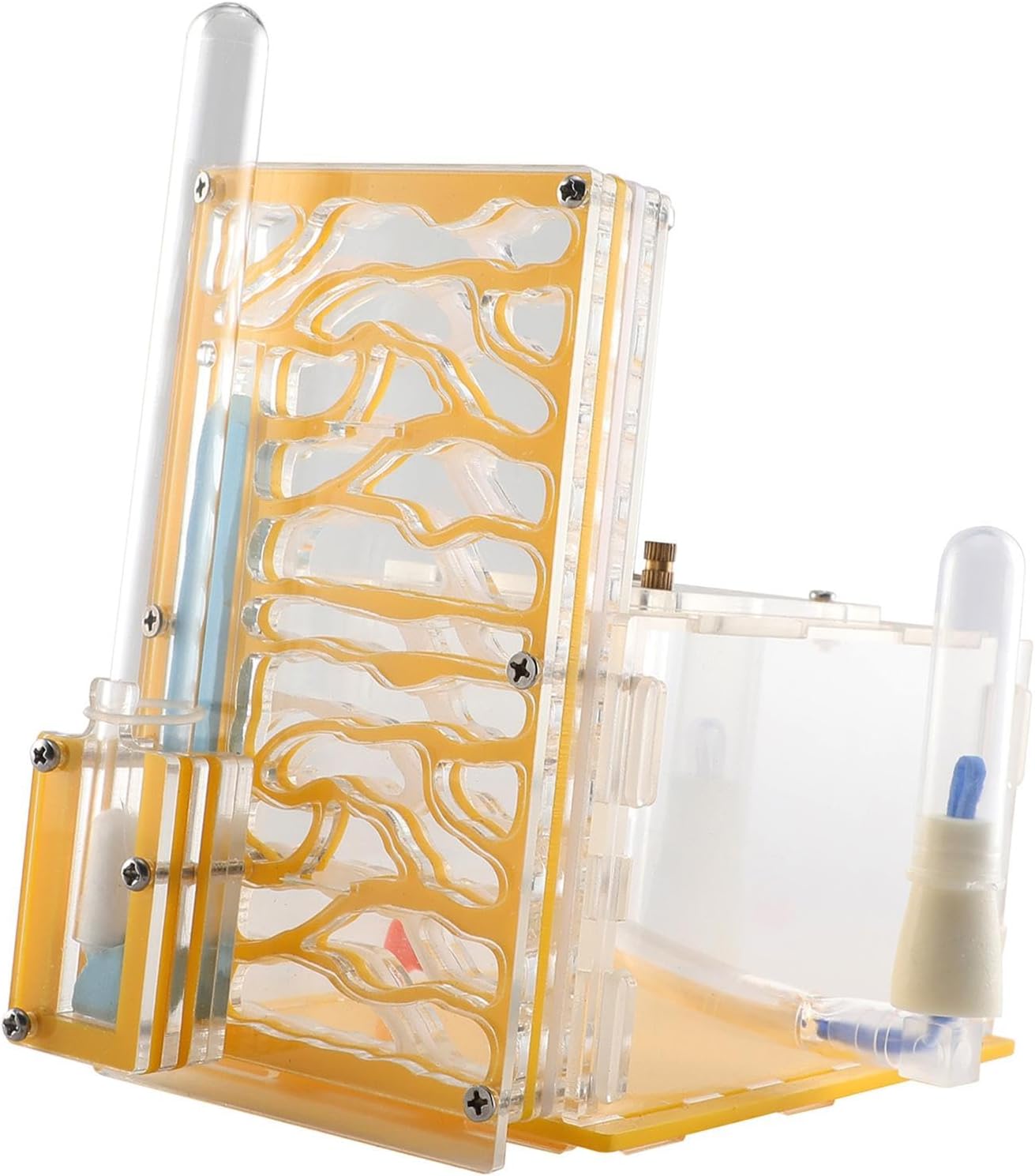 ANT Housing Nest Habitat Transparent Acrylic with Feeder ANT Farm Display Box for Gift Lovers Birthday Decor Children's Day- Yellow