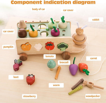 OESSUF Montessori Toys Toddlers Wooden Educational Toys for Baby Boys Girls, Shape Sorting & Matching Fine Motor Skills Toys, Birthday Gifts for Kids