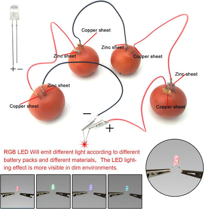 EUDAX Fruit Battery Science Experiment Kit with Electronic Clock and RGB LED for DIY Home Teaching Equipment, School Science Project, Education Subject