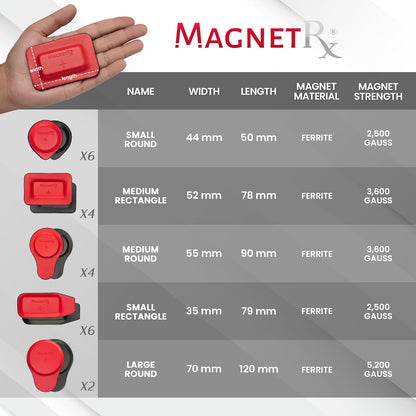 MagnetRX® Biomagnetic Magnets Kit – Imanes para Biomagnetismo Médico – Dr Goiz Magnets for Biomagnetism Bio Magnet Pair – 5200 Gauss Large Round Magnet (6 Units)