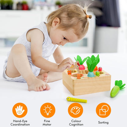 Ancaixin Montessori Toys for Babies 6-12 Months, Wooden Toys for 1 Year Old Boys and Girls, Educational Carrot Harvest Toy for Toddlers, Shape Sorting Matching Puzzle, Developmental Birthday Gifts
