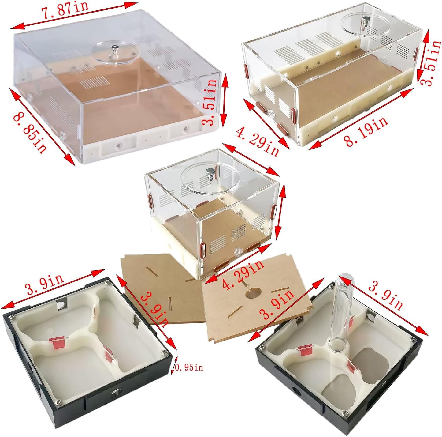 Plaster Test Tube Adult ant Farm Acrylic Transparent ant Observation Behavior Study Live Ants and Queen Education ant nest Small Colony breeding Area Suitable for Children and Enthusiasts Gift