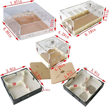 Plaster Test Tube Adult ant Farm Acrylic Transparent ant Observation Behavior Study Live Ants and Queen Education ant nest Small Colony breeding Area Suitable for Children and Enthusiasts Gift