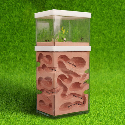 Ecological Ant Nest Farm, Ant Castle Ant Formicarium, Transparent Ant House Plaster Ant Nest, Ant Workshop Insect Villa Ant Feeding Box for Ants Study Science Experiment Gift