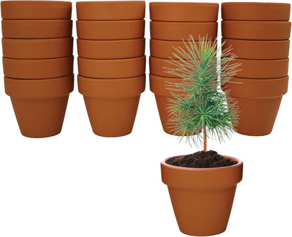 BUZZY Seeds Terracotta Mini Grow Pots – Herb Flower Plant Starter Kit Assorted 20-Pack with Lavender Seeds, Indoor Grow Your Own Gardening Gift for DIY Projects and Party Favors
