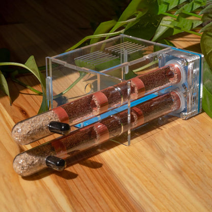 Plaster Test Tube Adult ant Farm Acrylic Transparent ant Observation Behavior Study Live Ants and Queen Education ant nest Small Colony breeding Area Suitable for Children and Enthusiasts Gift