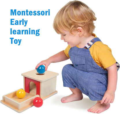 Adena Montessori Wooden Toy for 6-12 Month Baby 3 Balls with Tray, Object Permanence Box Colorful Learning Education Toy for Toddler Kid 1-2 Year Old, Preschool Developmental Girl and Boy Gift