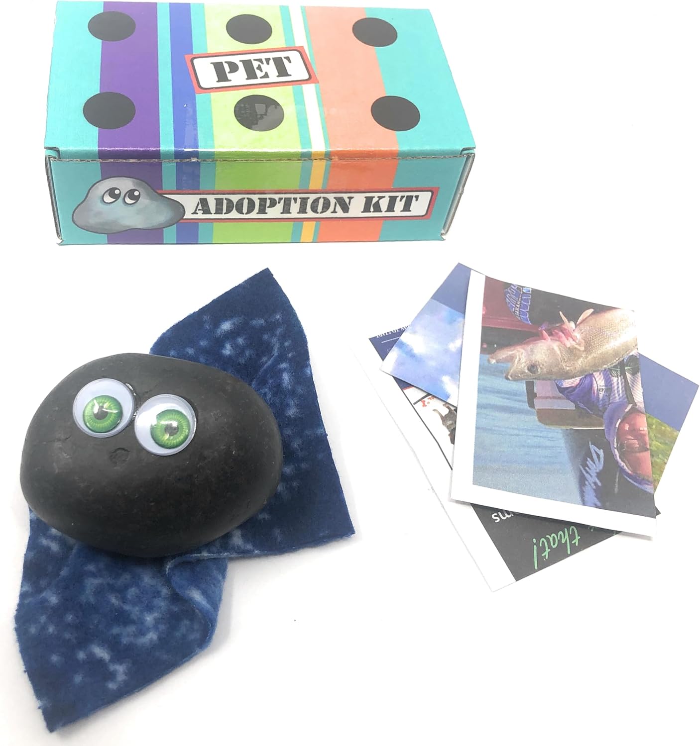 Rock Pet Adoption Kit Funny Novelty Gag Gift (Green Eyes)
