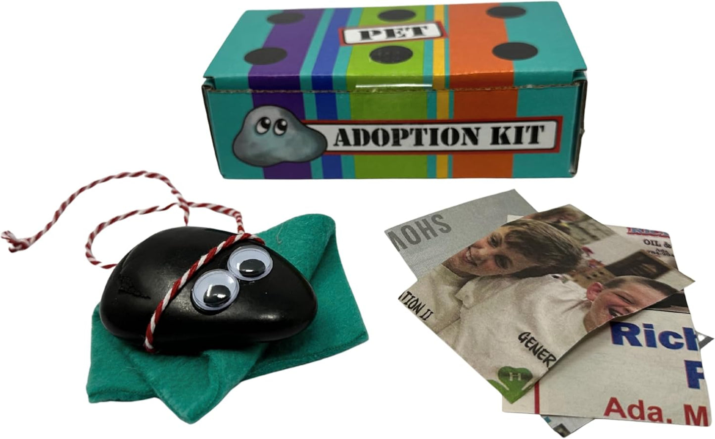 Rock Pet Adoption Kit Funny Novelty Gag Gift (Green Eyes)