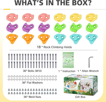 TOPNEW 12PCS Climbing Holds for Kids, Rock Wall Climbing Kit with Hardware for Indoor and Outdoor Climbing Wall, Pastel Color