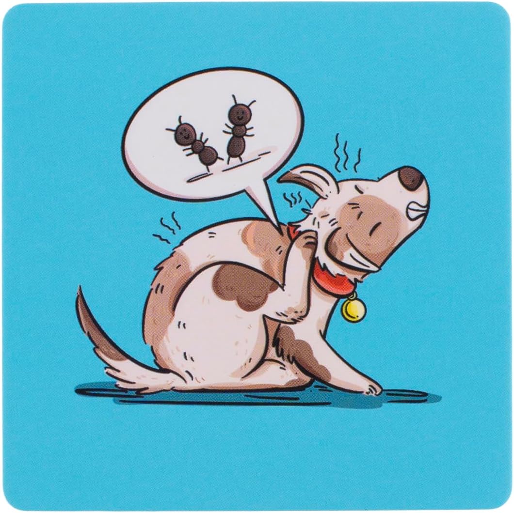 Bjorem Literacy® -ch/-tch Spelling Sort – Teach Spelling Generalizations for/ch/with Sentence Prompts and Rule Breakers