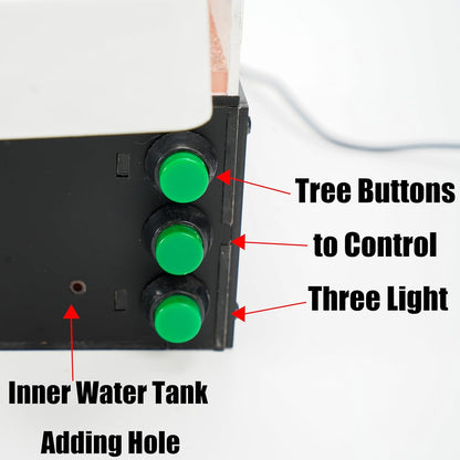 Ant Farm for Live Ants - for Small Ant Clony - Natural Learning Toy - Great Gift