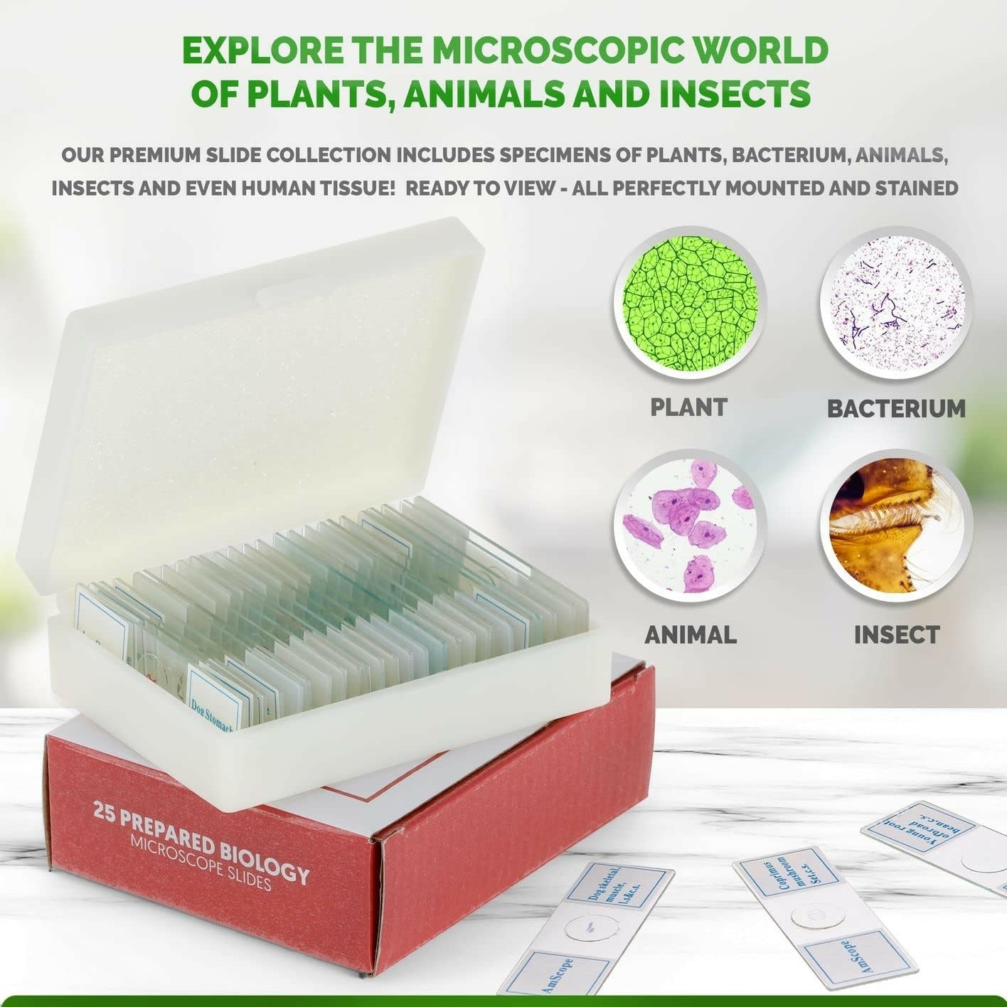 AmScope PS25 Prepared Microscope Slide Set for Basic Biological Science Education, 25 Slides, Includes Fitted Wooden Case Brown