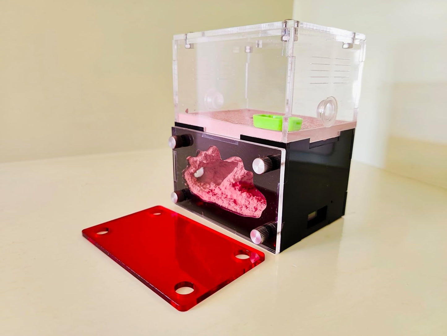 Ant Farm&Nest,House, Nest for ant Farm, Behavior Study House, Small Ant House.