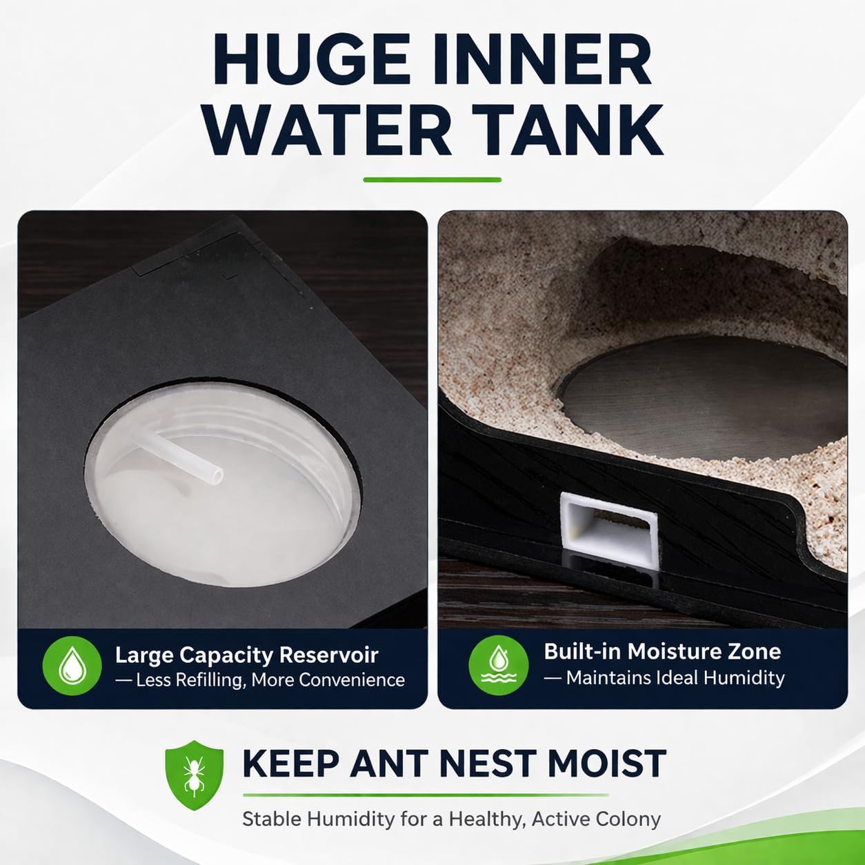 Ant Farm for Adults Study of Ant Behavior Ant Nest ant Terrarium Educational Formicarium for Live Ants and Queen,Cave Style Landscapes