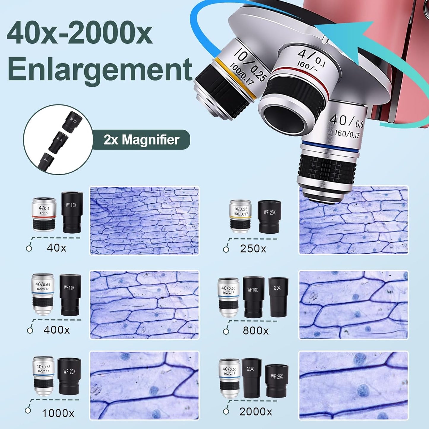Microscope for Kids & Adults,40X-2000X Magnification Microscope for Kids 8-12, with LED Fill Light & Phone Holder, Great for School Labs and Home Schooling